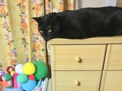 b0341440_15482422.jpeg