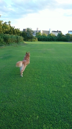 a0329943_22281422.jpg