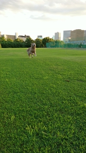 a0329943_22284571.jpg