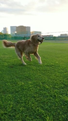 a0329943_22290303.jpg