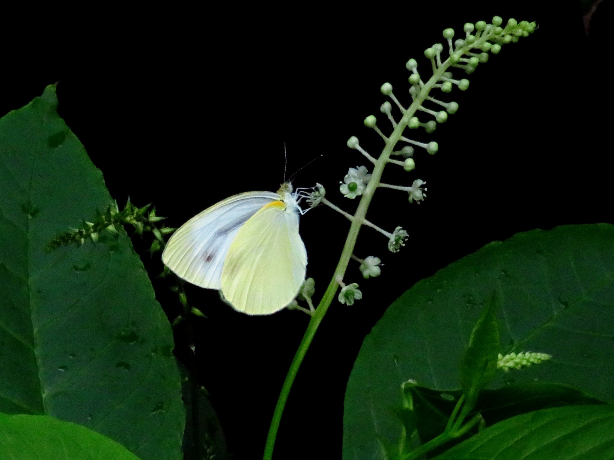 a0018655_13421918.jpg