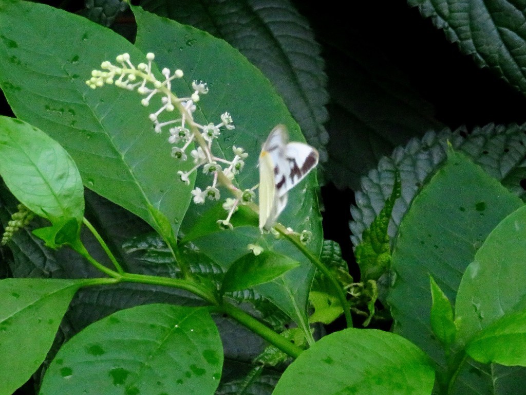 a0018655_13422063.jpg