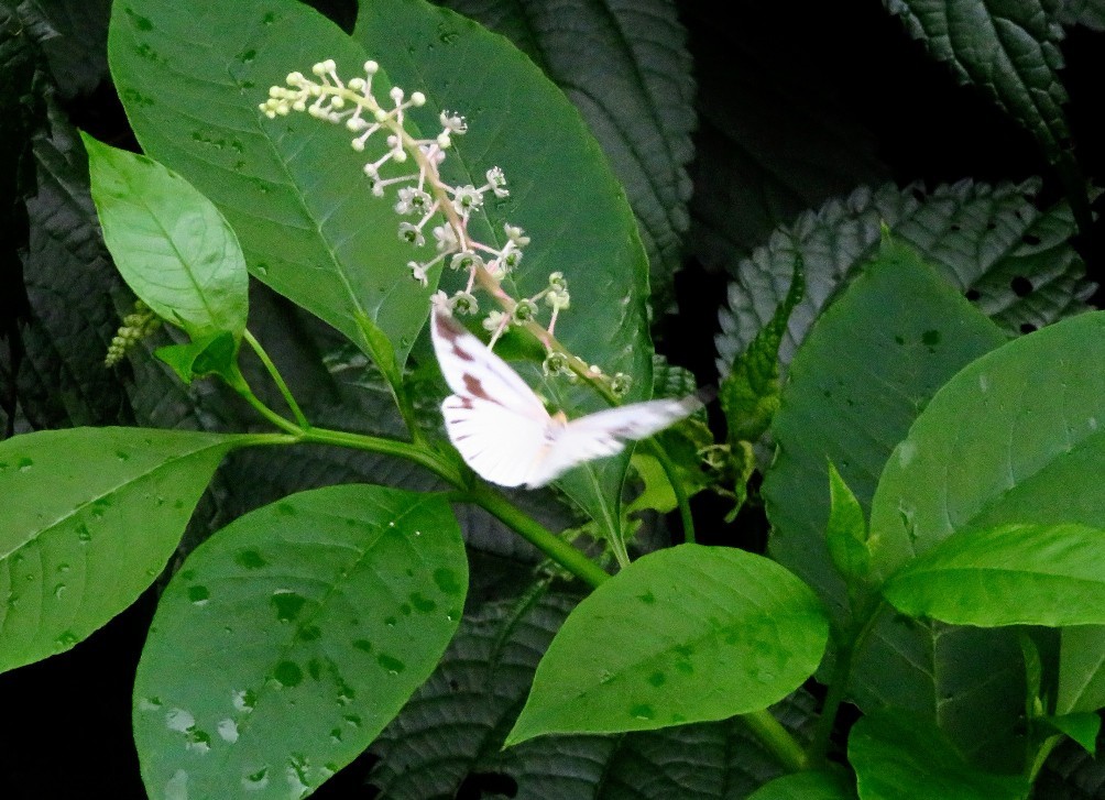 a0018655_13422067.jpg