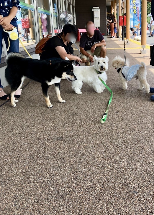 f0363961_14500207.jpeg