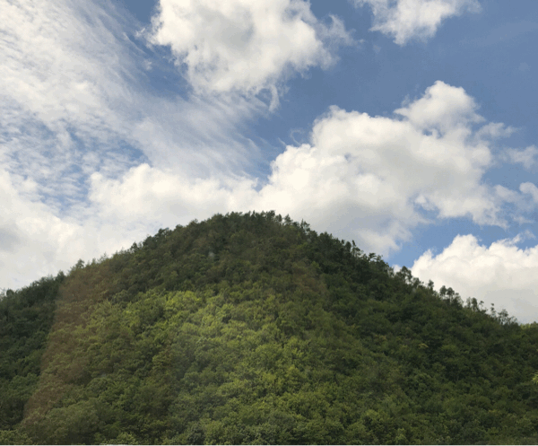 b0325867_08202200.gif