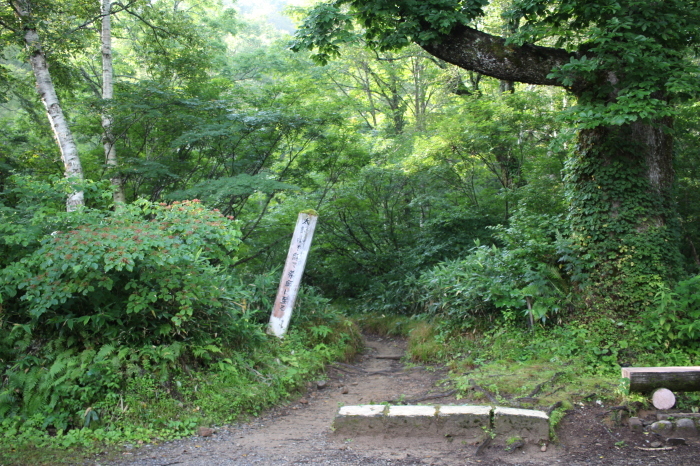 f0223068_07433122.jpg
