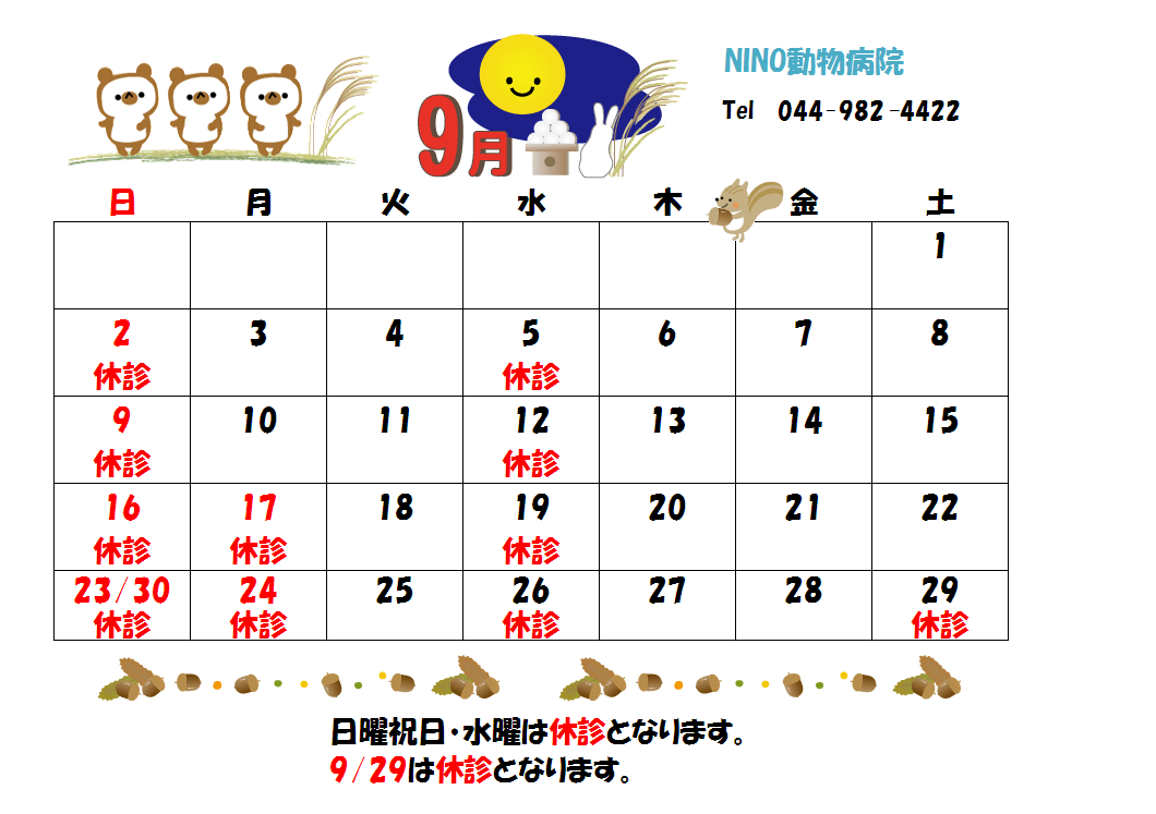9月の診療日のお知らせ☆_e0288670_13263852.png