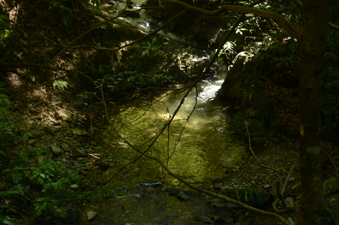 b0194880_23010361.jpg