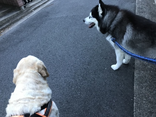 f0315081_21284317.jpeg