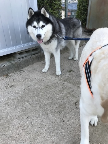f0315081_21295232.jpeg