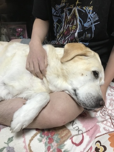 f0315081_21304838.jpeg