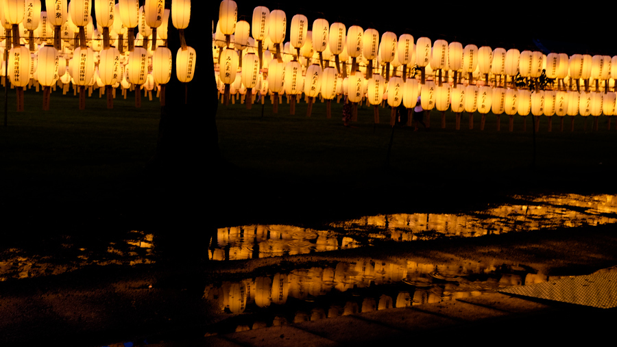 万灯みたま祭　護国神社_e0243382_21145948.jpg