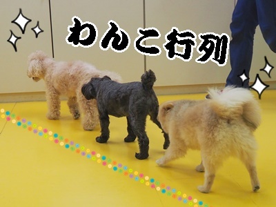 かわいこちゃん達♥♥_f0357682_16132776.jpg