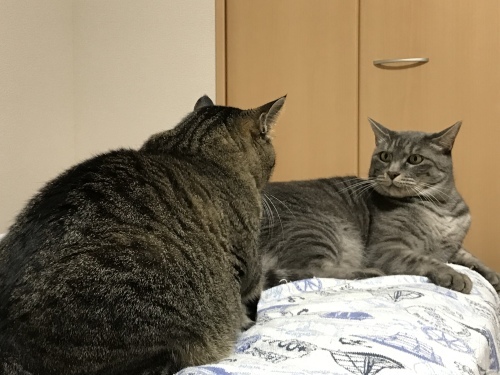 c0340786_07495715.jpeg