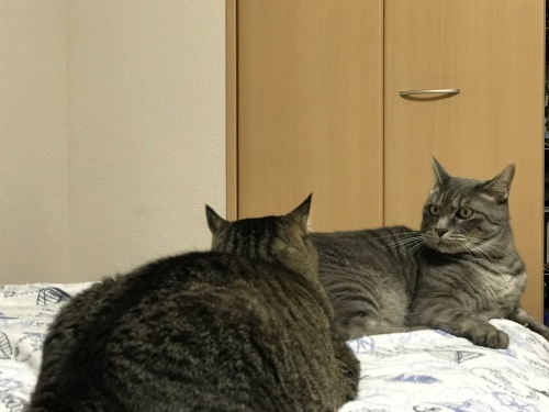 c0340786_07511329.jpeg