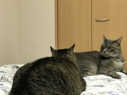 c0340786_07513218.jpeg