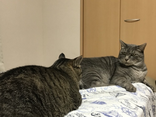 c0340786_07523071.jpeg