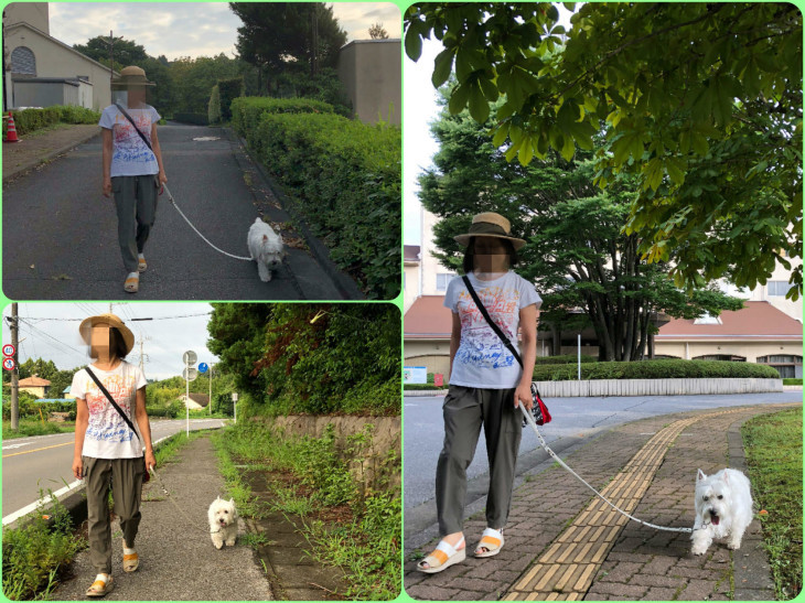 のんびりチェックアウト 18 8 12 日 ウエスティ こじろお じゅにあ Kj です Jk 女子高生 じゃないよ