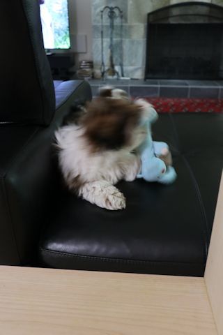 c0090198_17080332.jpg
