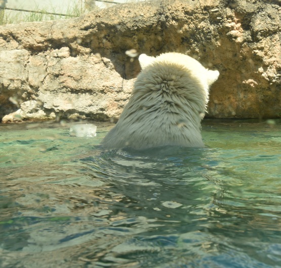 d0090801_16123793.jpg
