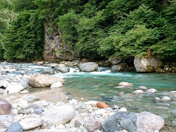 f0266202_14451314.jpg