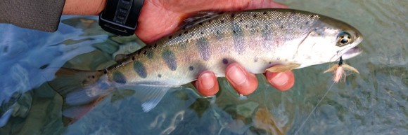 f0266202_14453456.jpg