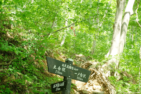 b0253706_21103590.png