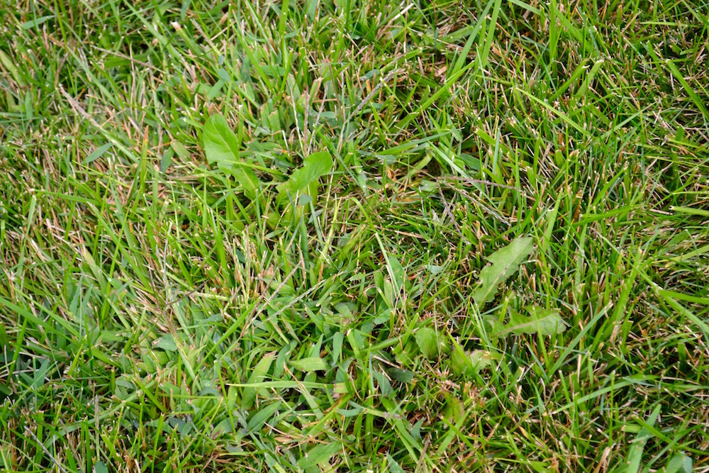 a0344907_02322918.jpg