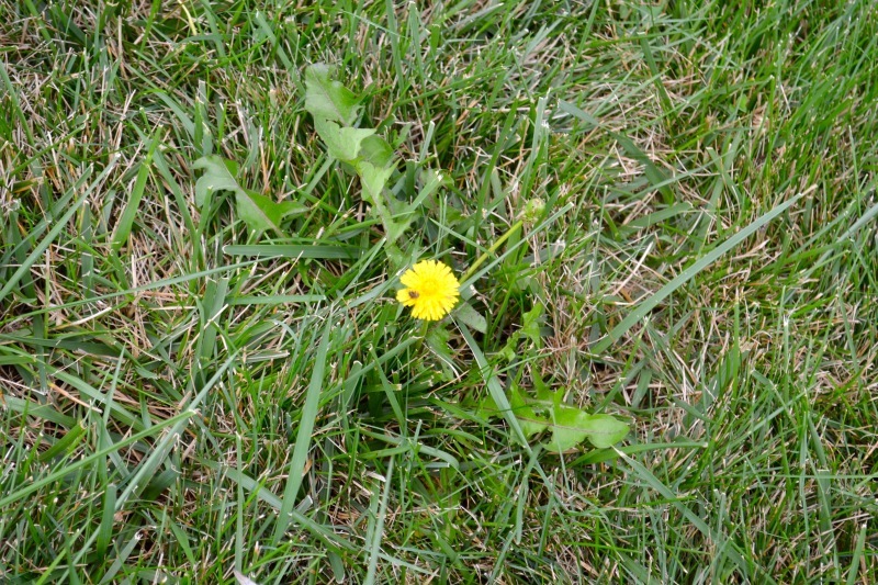 a0344907_02323227.jpg