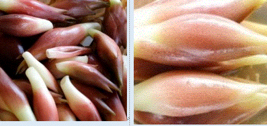 f0231709_14053687.gif