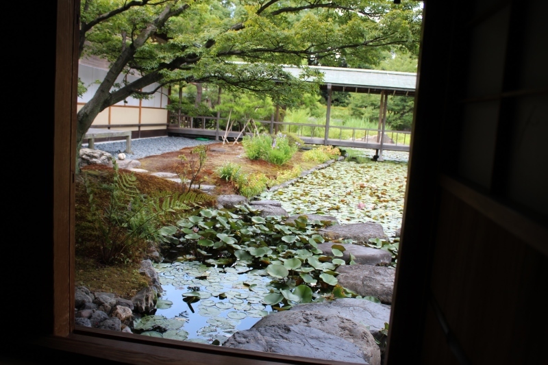 心にひとつ、で、いたいた！_b0220318_12044141.jpg