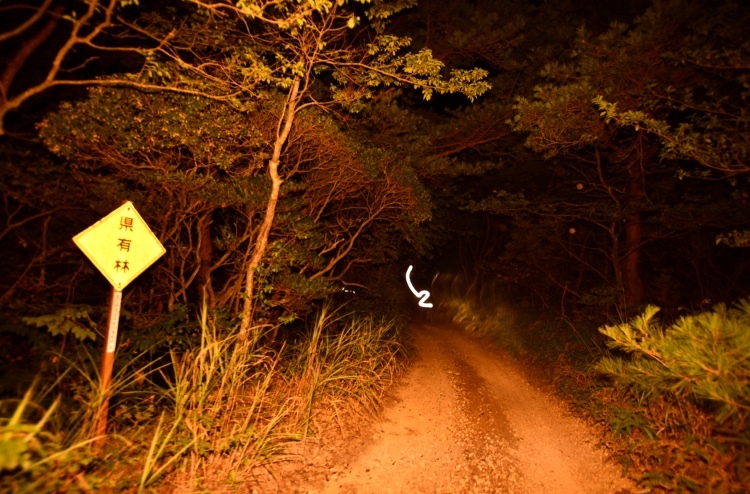 ちょろっとSIXX NIGHT_f0381120_10482508.jpeg