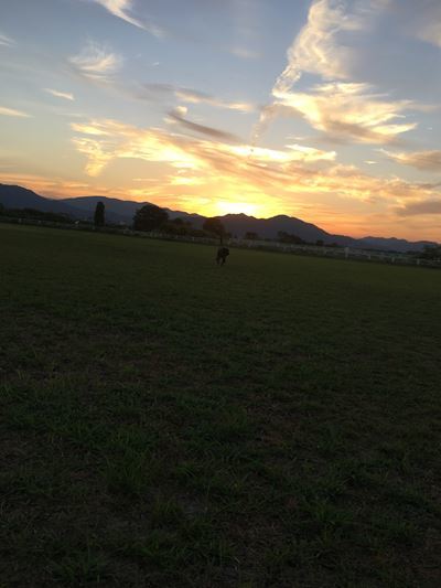 c0114121_23503234.jpg
