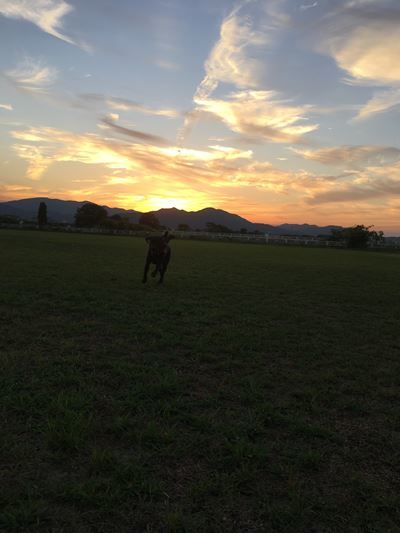 c0114121_23503981.jpg