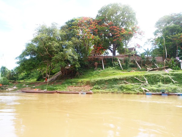 a0123724_21573265.jpg
