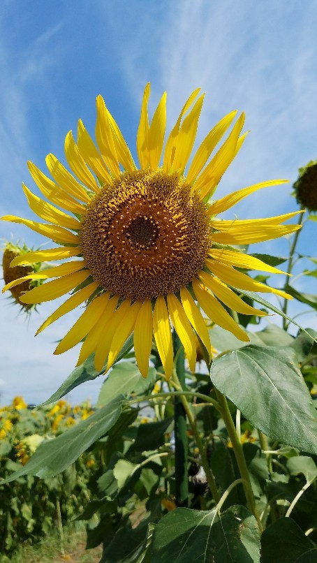 b0003126_23541134.jpg