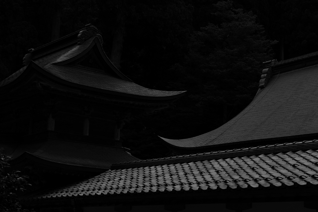 永平寺_f0050534_22355233.jpg