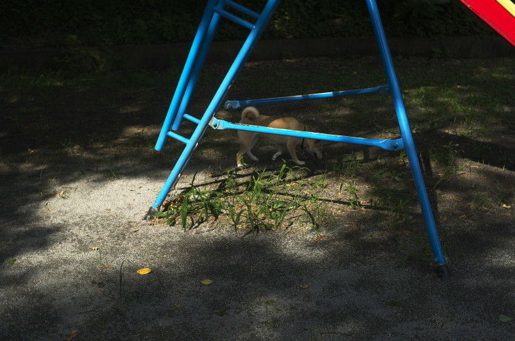 e0342136_17423810.jpg