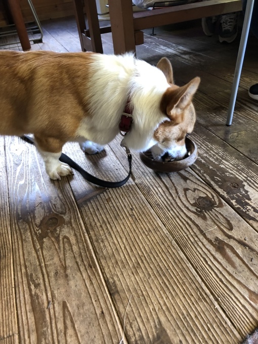 b0369239_13522666.jpeg
