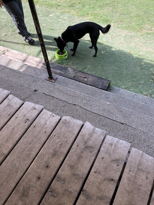 b0369239_13525334.jpeg