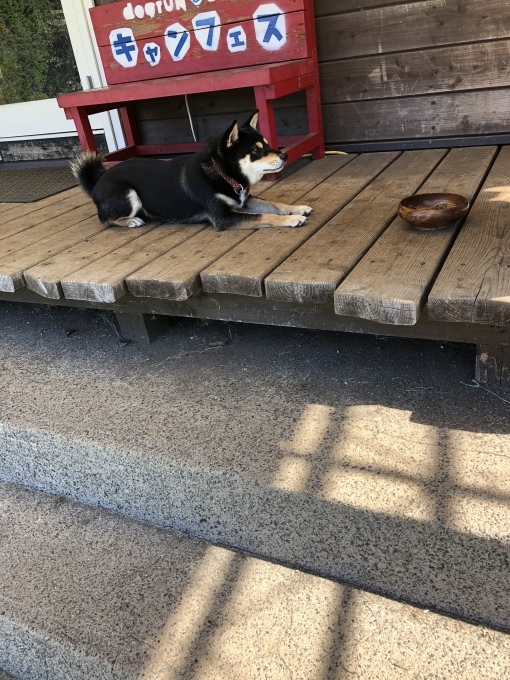 b0369239_13531596.jpeg