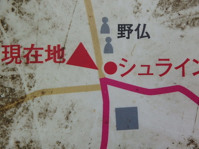 f0334143_21391997.jpg