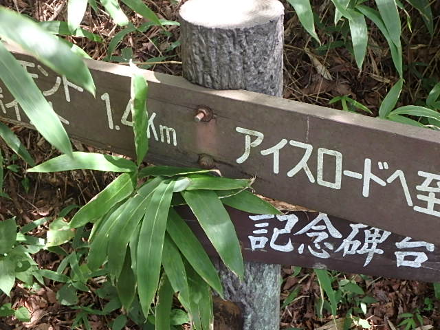 f0334143_2139979.jpg