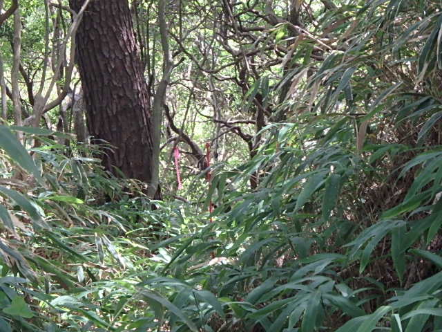 f0334143_21405580.jpg