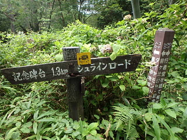 f0334143_2141218.jpg