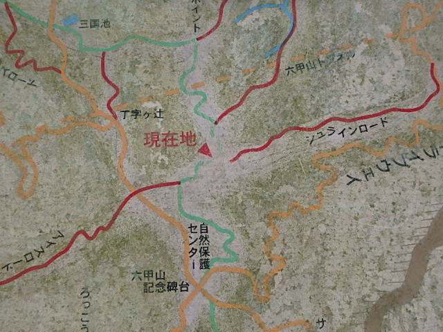 f0334143_214177.jpg