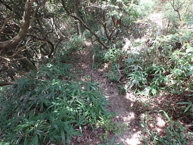 f0334143_21421280.jpg