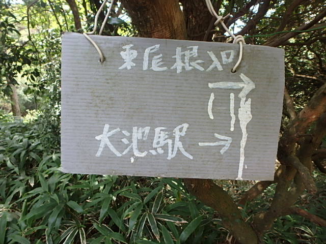 f0334143_2142324.jpg