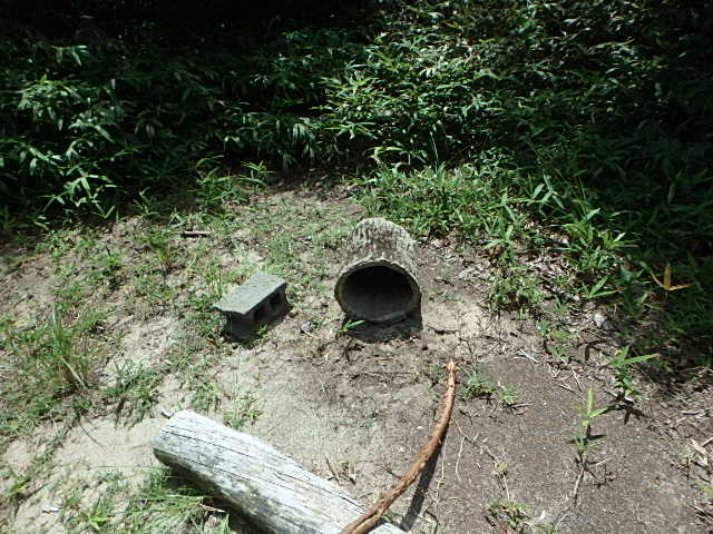 f0334143_21424732.jpg