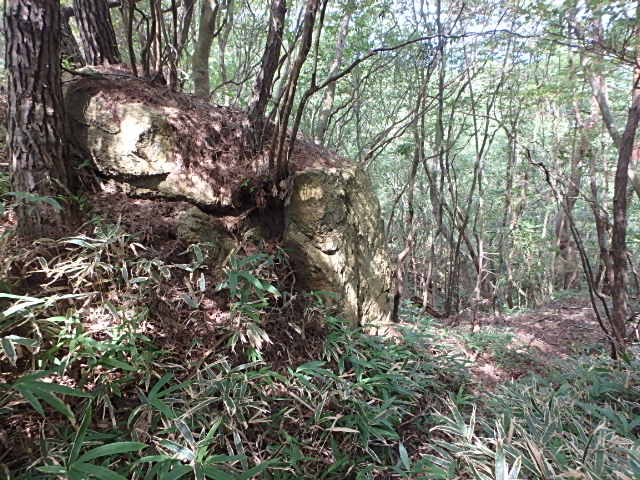 f0334143_21455718.jpg